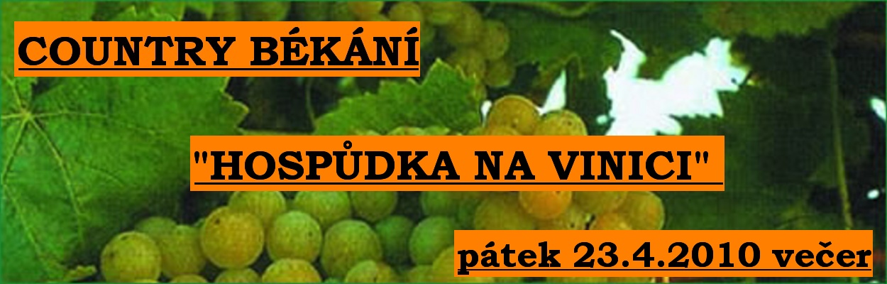 vino.jpg