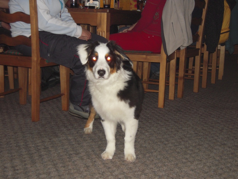 DSCN3222.jpg